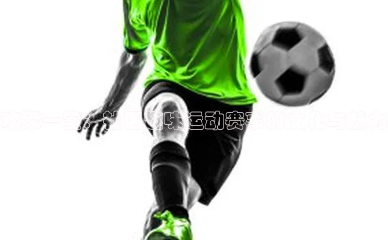 意昂体育4招商宣亚国际